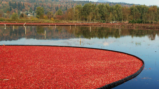 Cranberry Girdler Control
