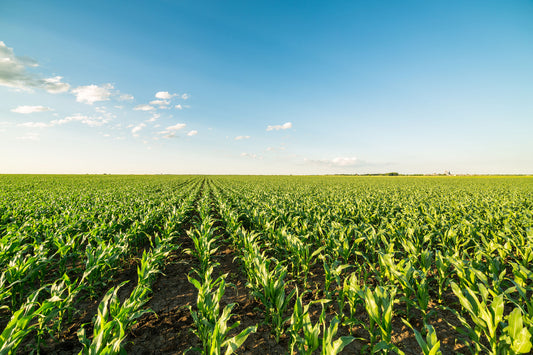 Benefits of the Procote Micronutrient Fertilizer Coating
