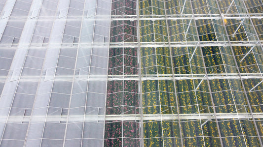 Summer is coming - is Your Greenhouse Ready?