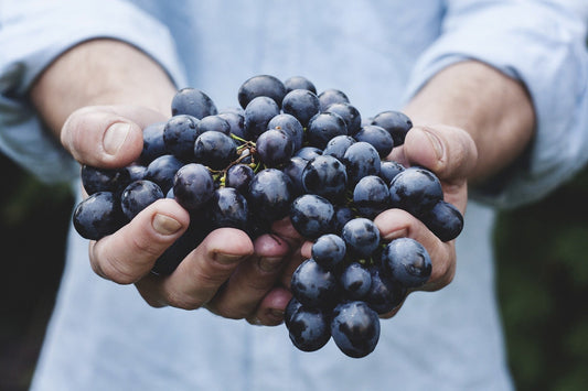 Do you grow organic?