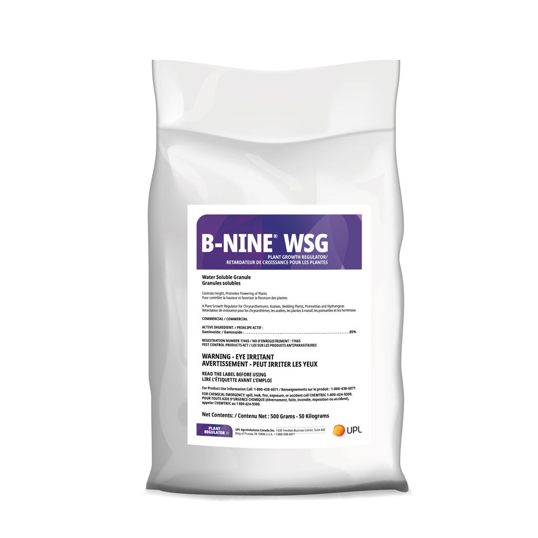 B-Nine WSG