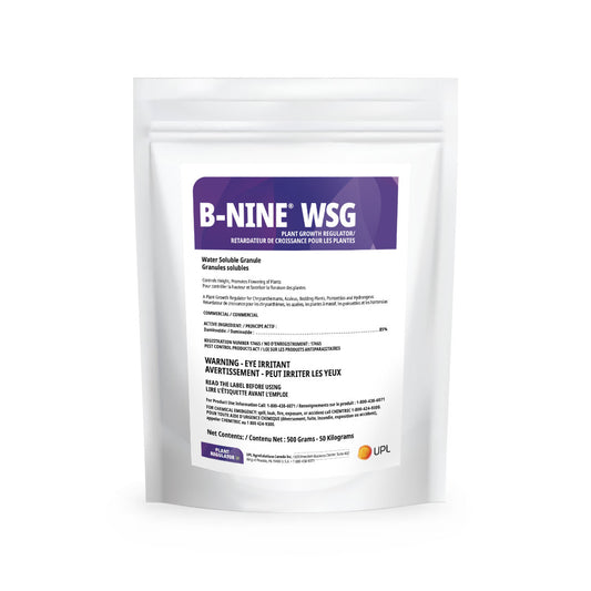 B-Nine WSG