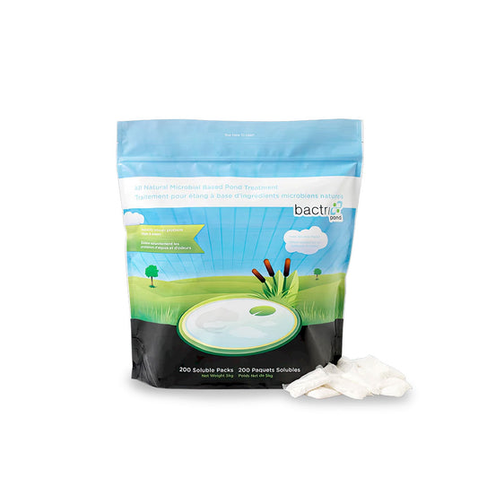 Bactri-Pond