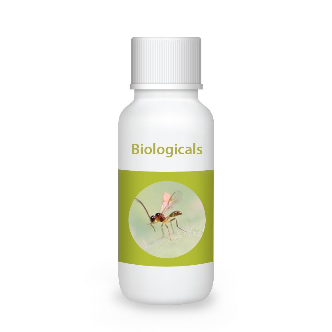 Bio Aphipar-M