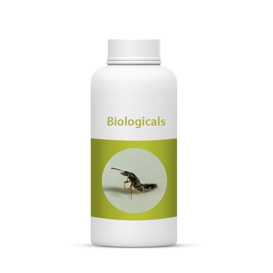 Bio Atheta