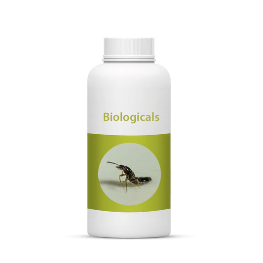 Bio Atheta
