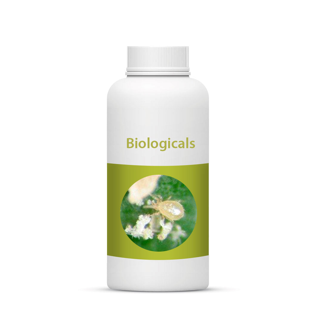 Bio Cucumeris