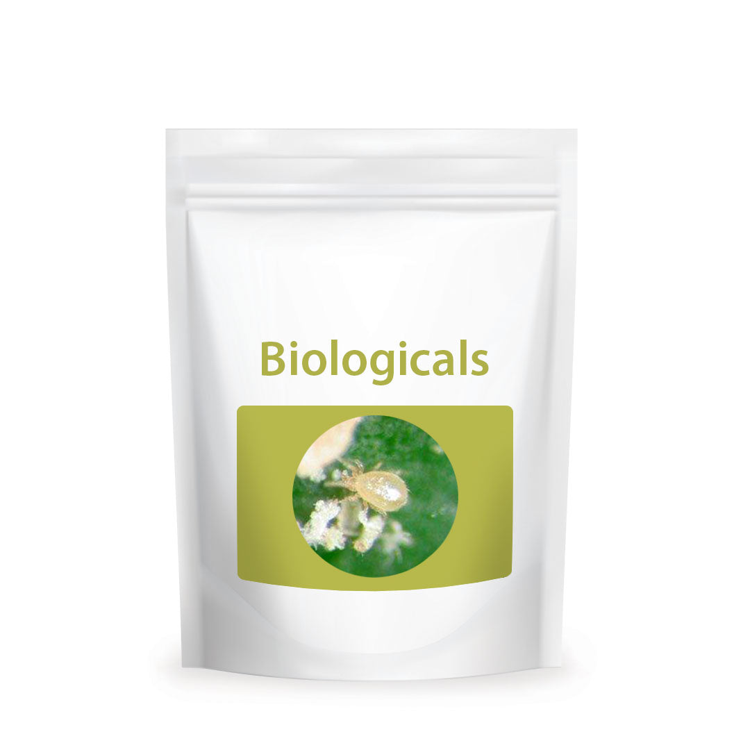 Bio Cucumeris