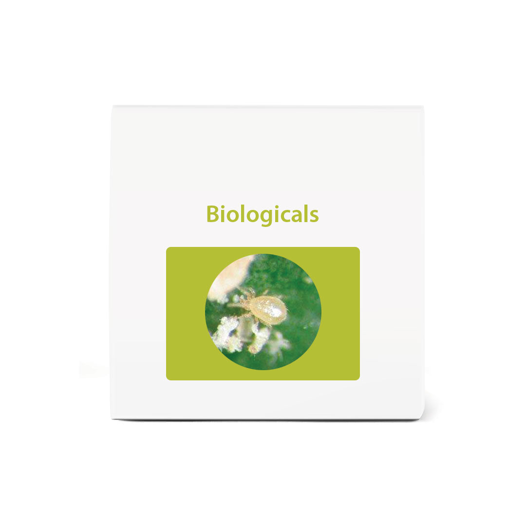 Bio Cucumeris