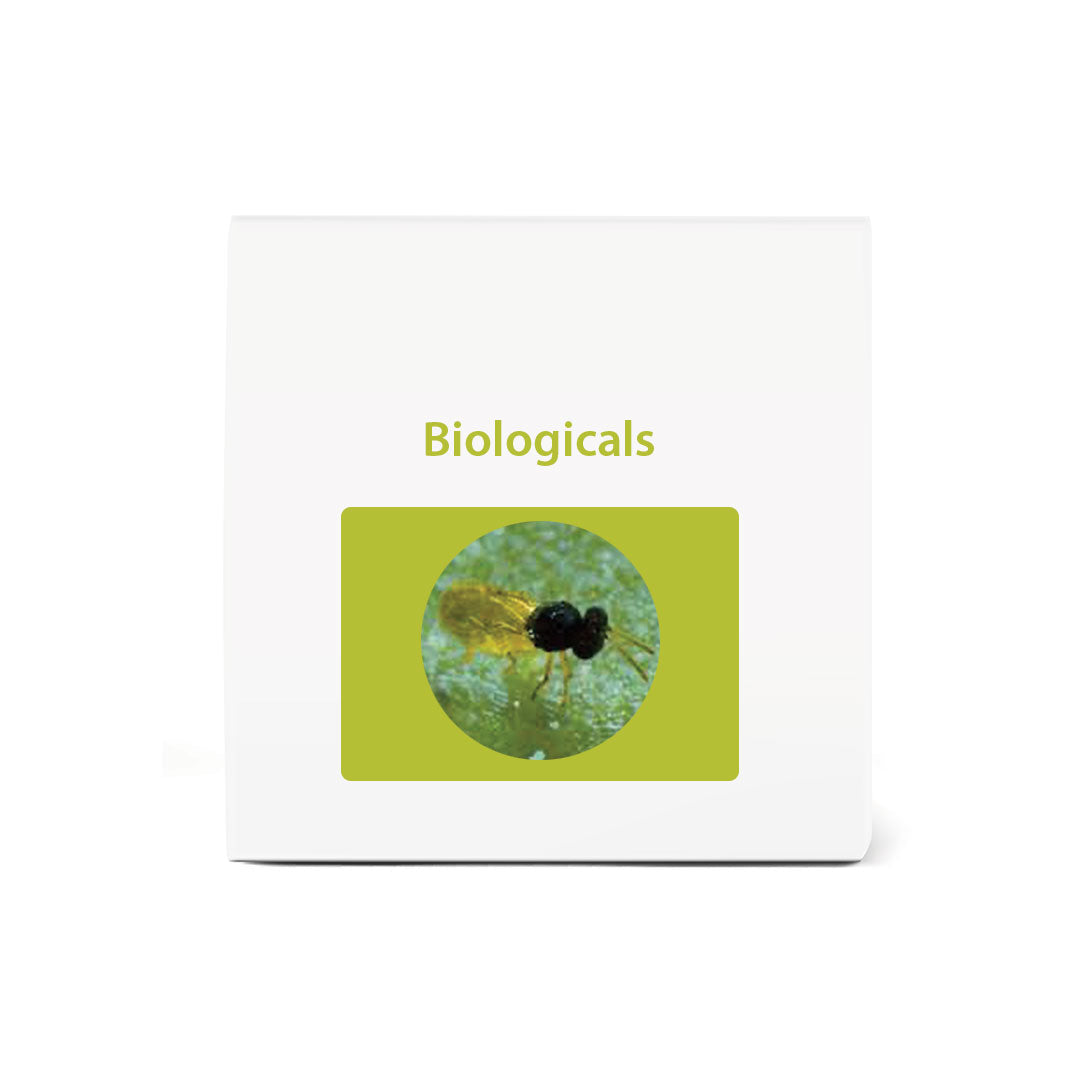 Bio Encarsia