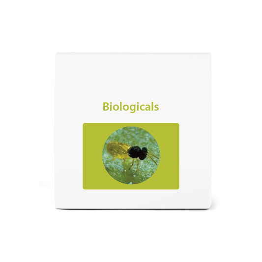 Bio Encarsia