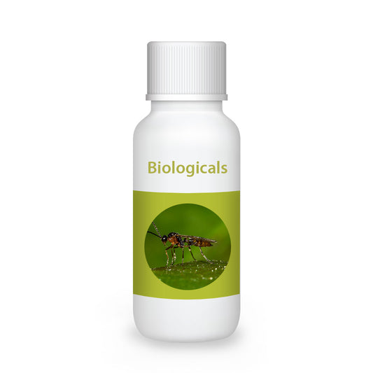 Bio Ervi