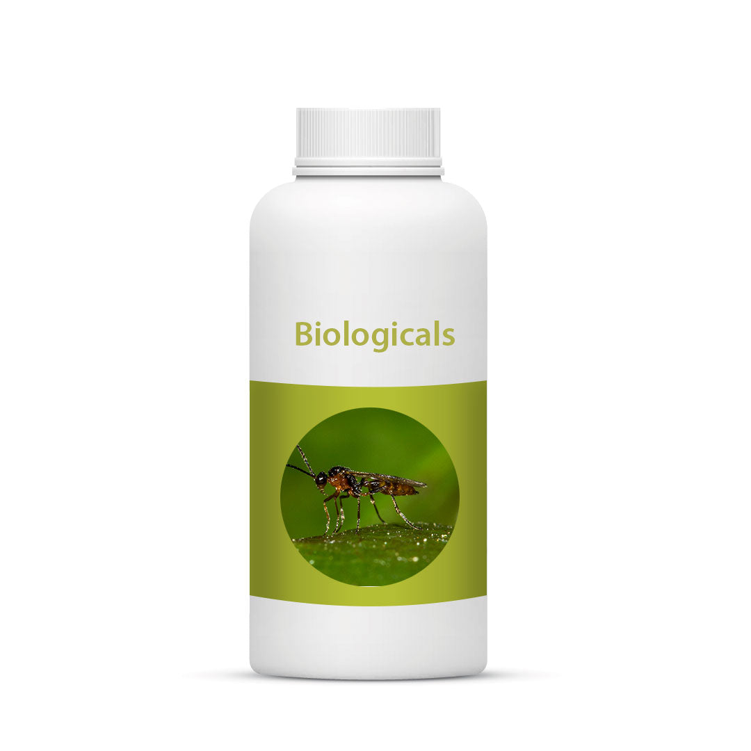 Bio Ervi