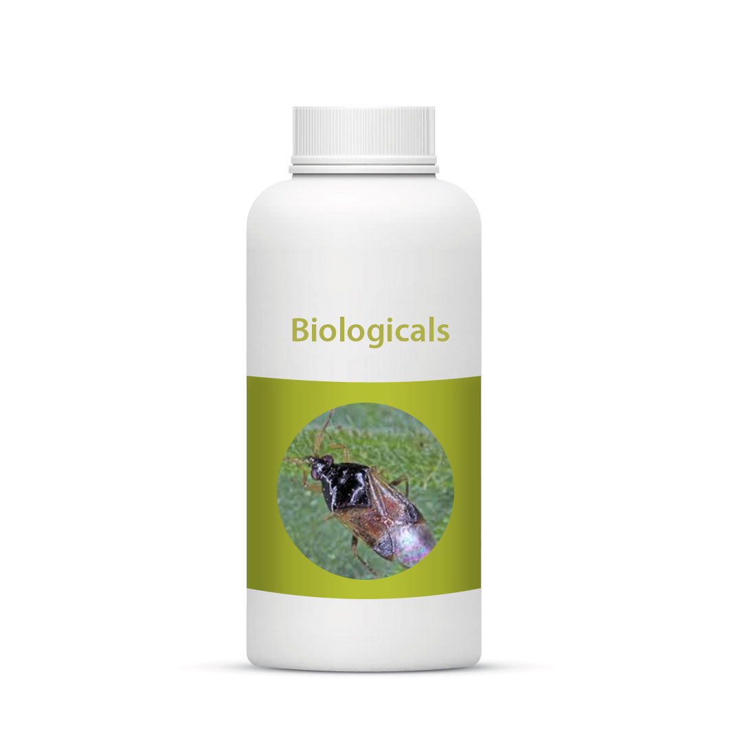 Bio Orius