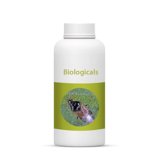 Bio Orius