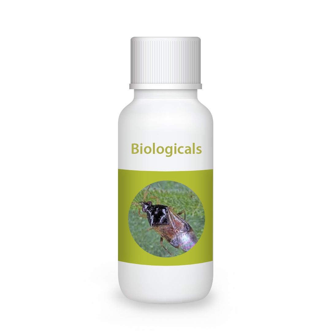 Bio Orius