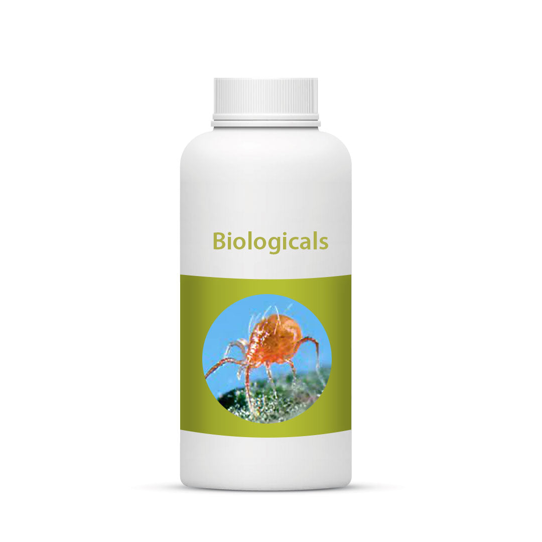 Bio Persi