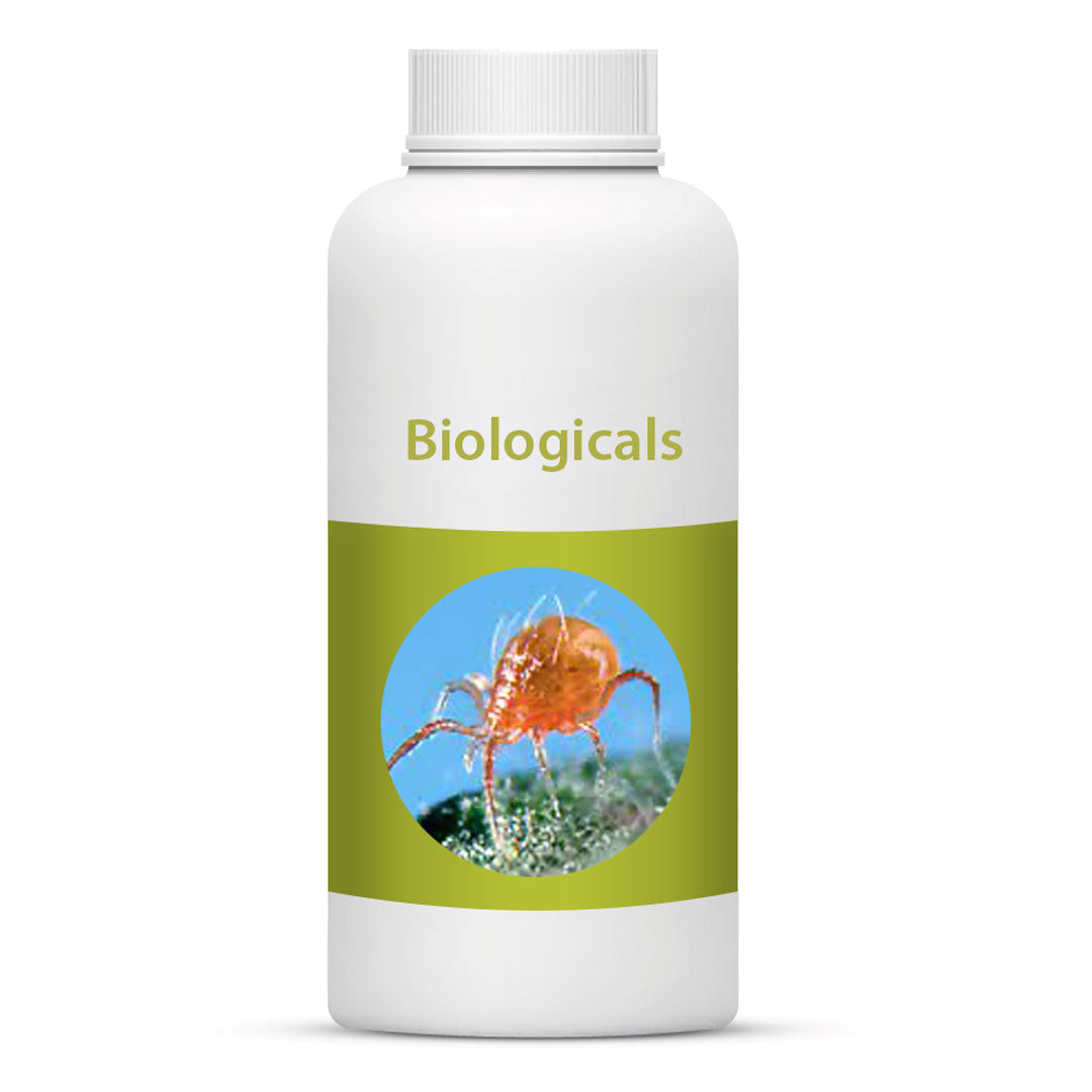 Bio Persi