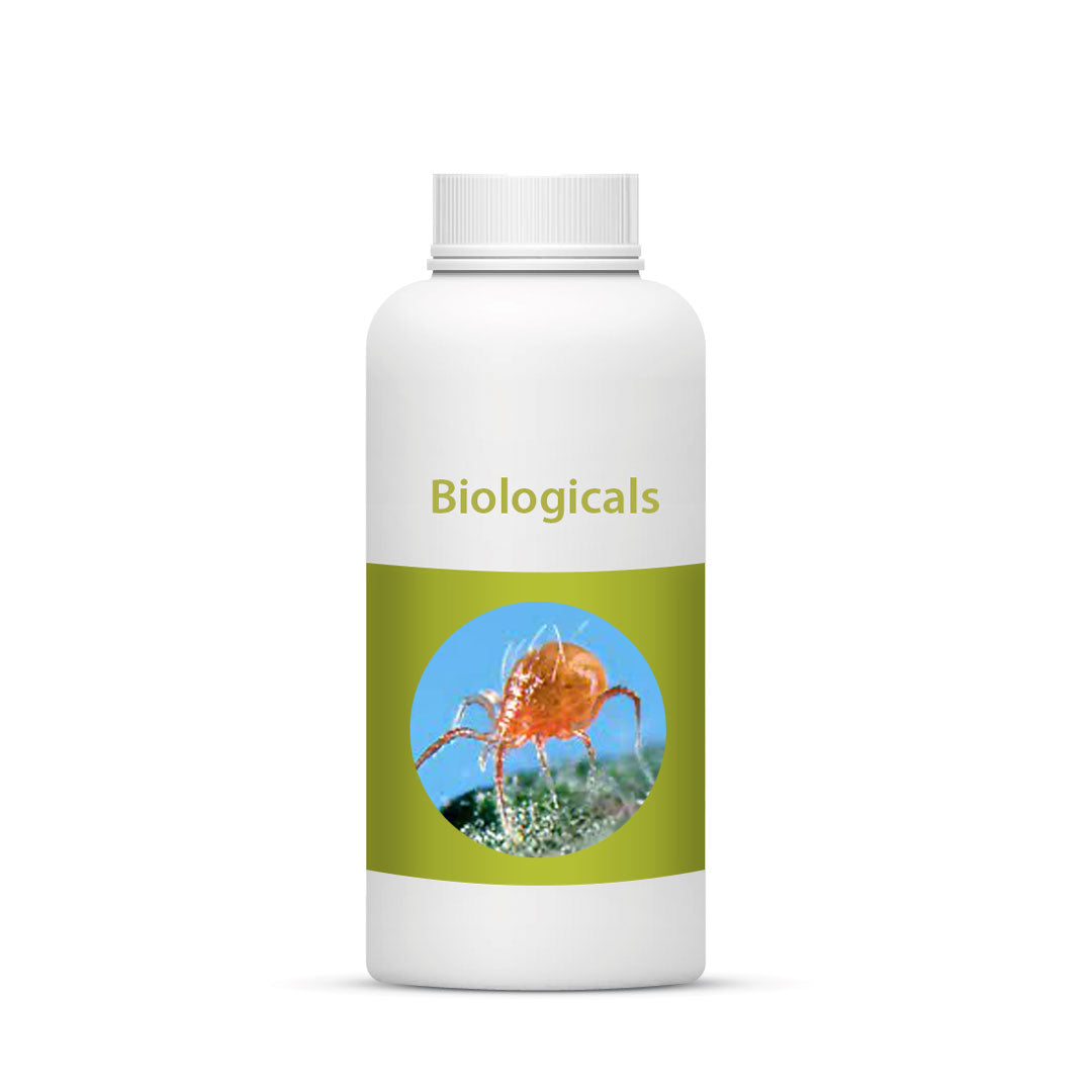 Bio Persi