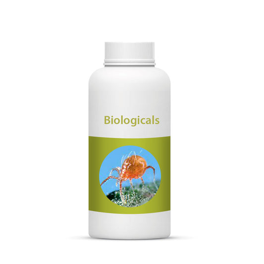 Bio Persi