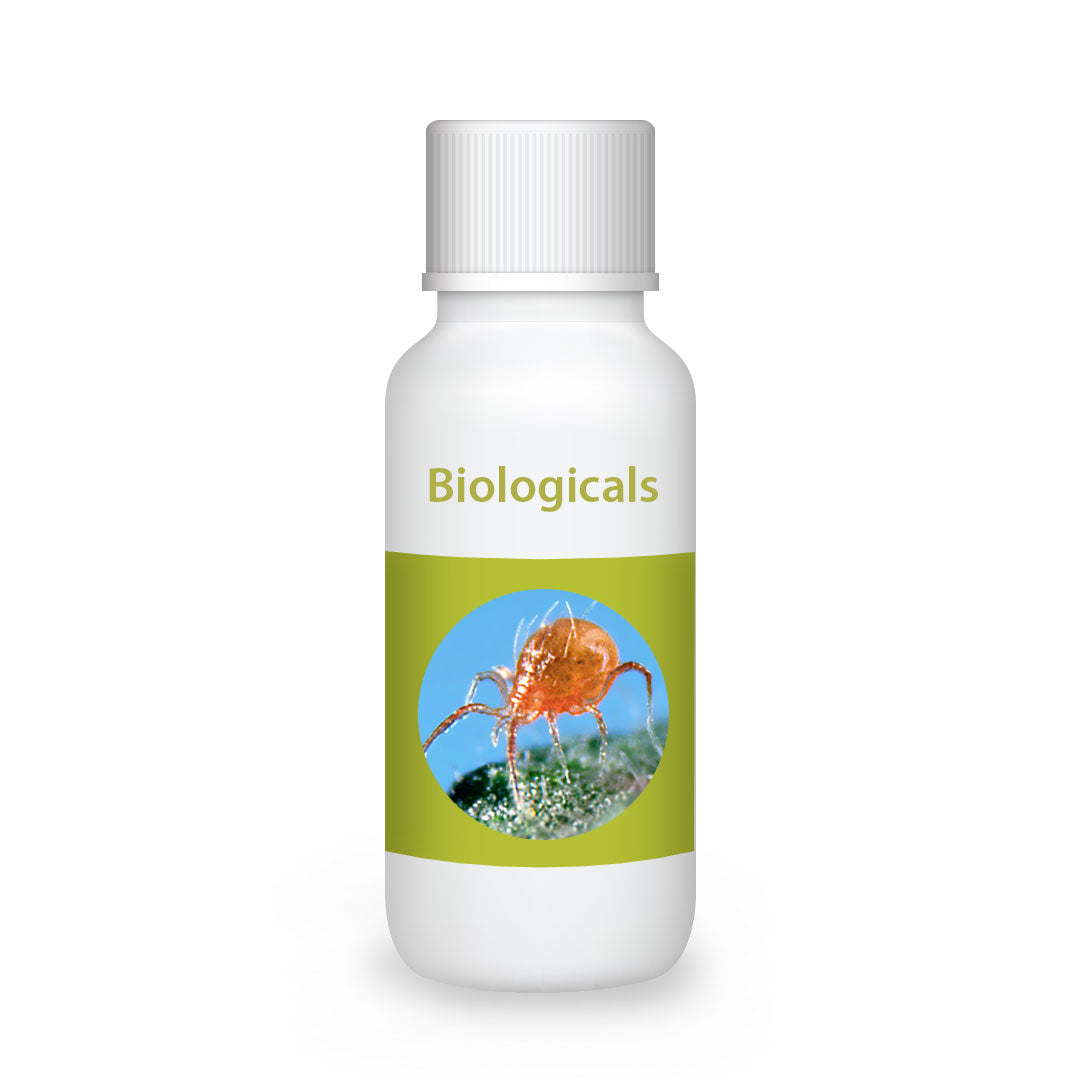 Bio Persi