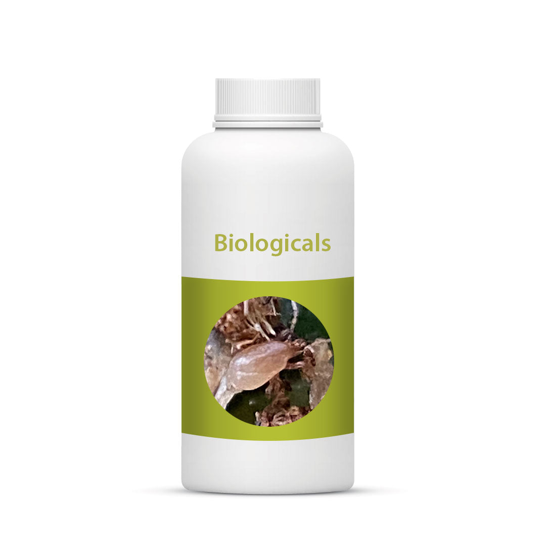 Bio Stratiolaelaps