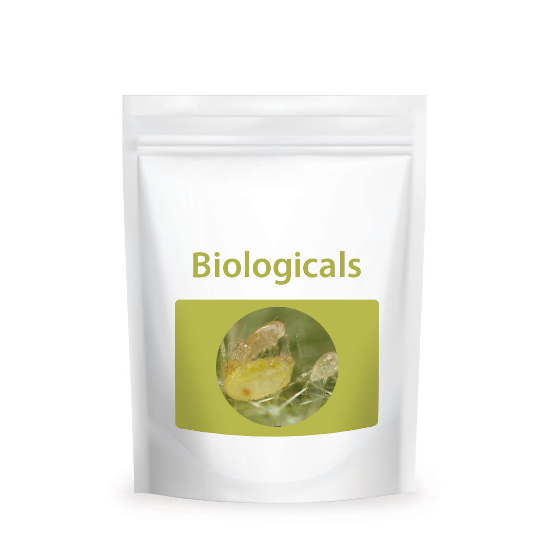 Bio Swirskii