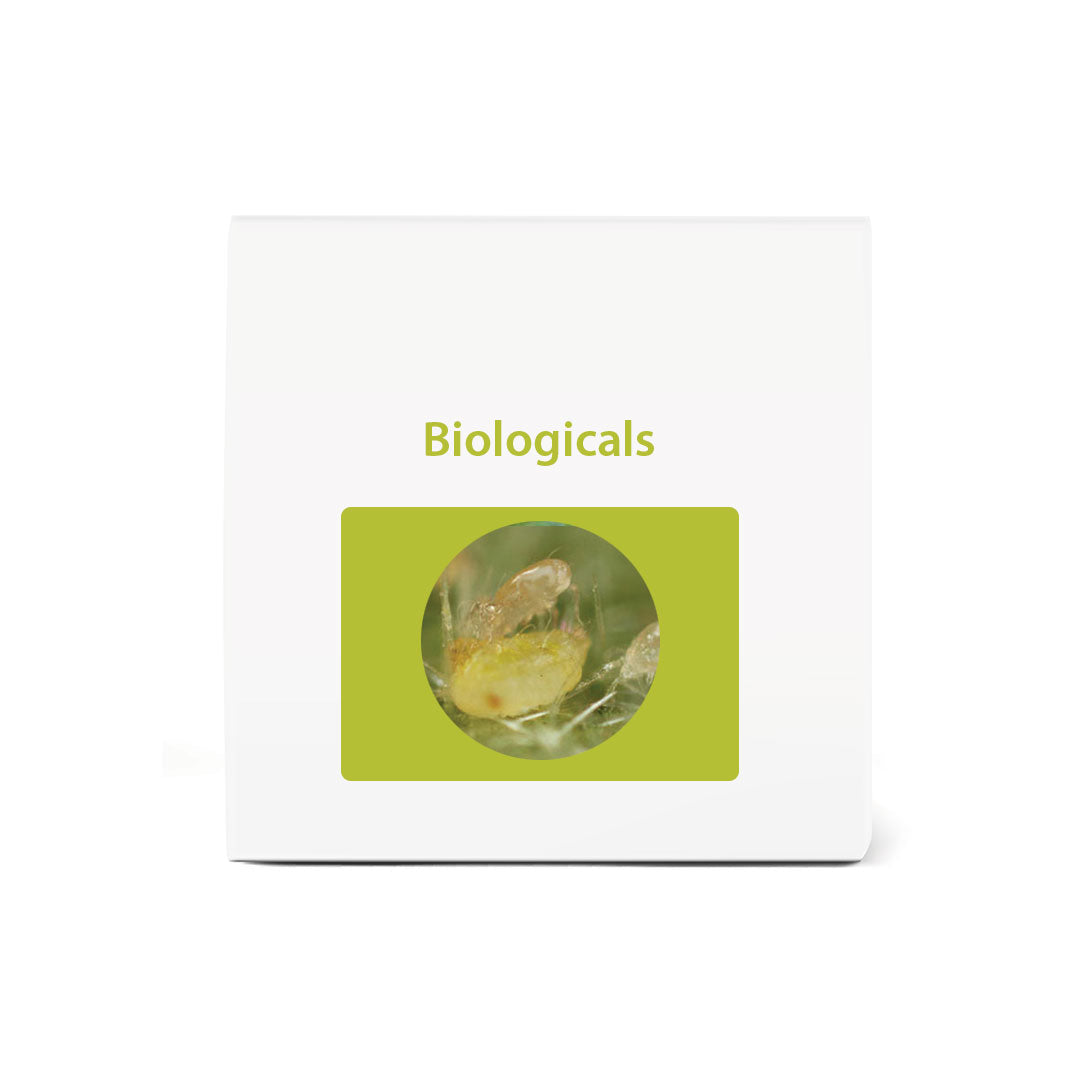Bio Swirskii