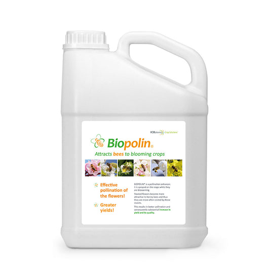 Honey Bee Attractant