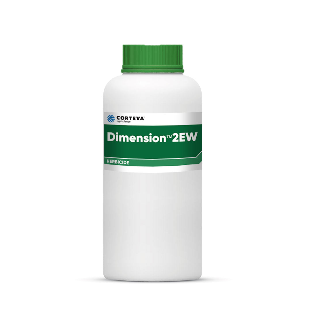 Dimension 2EW