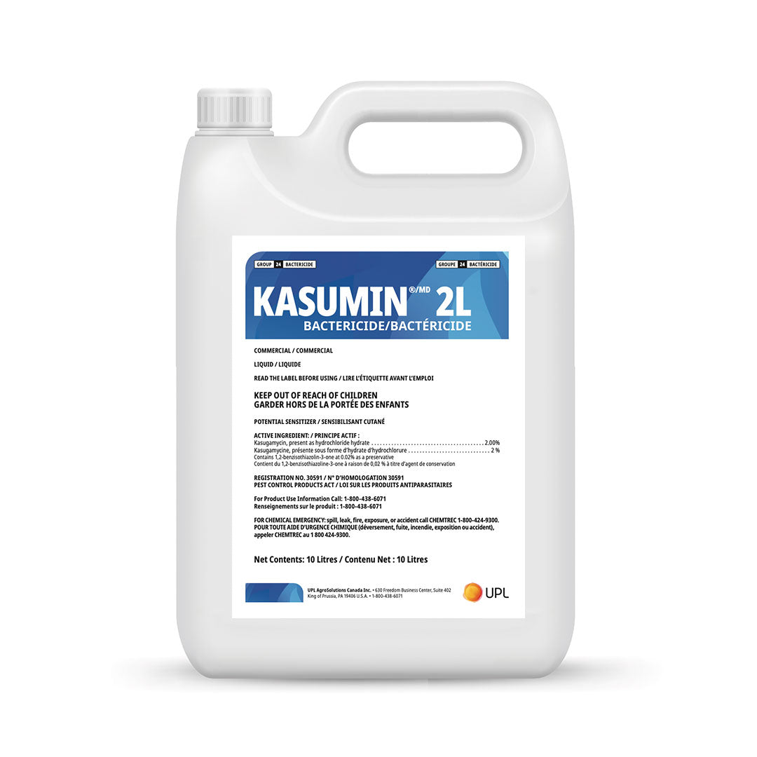 Kasumin