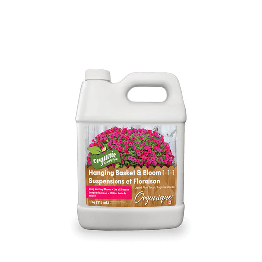 Hanging Basket & Bloom 1-1-1