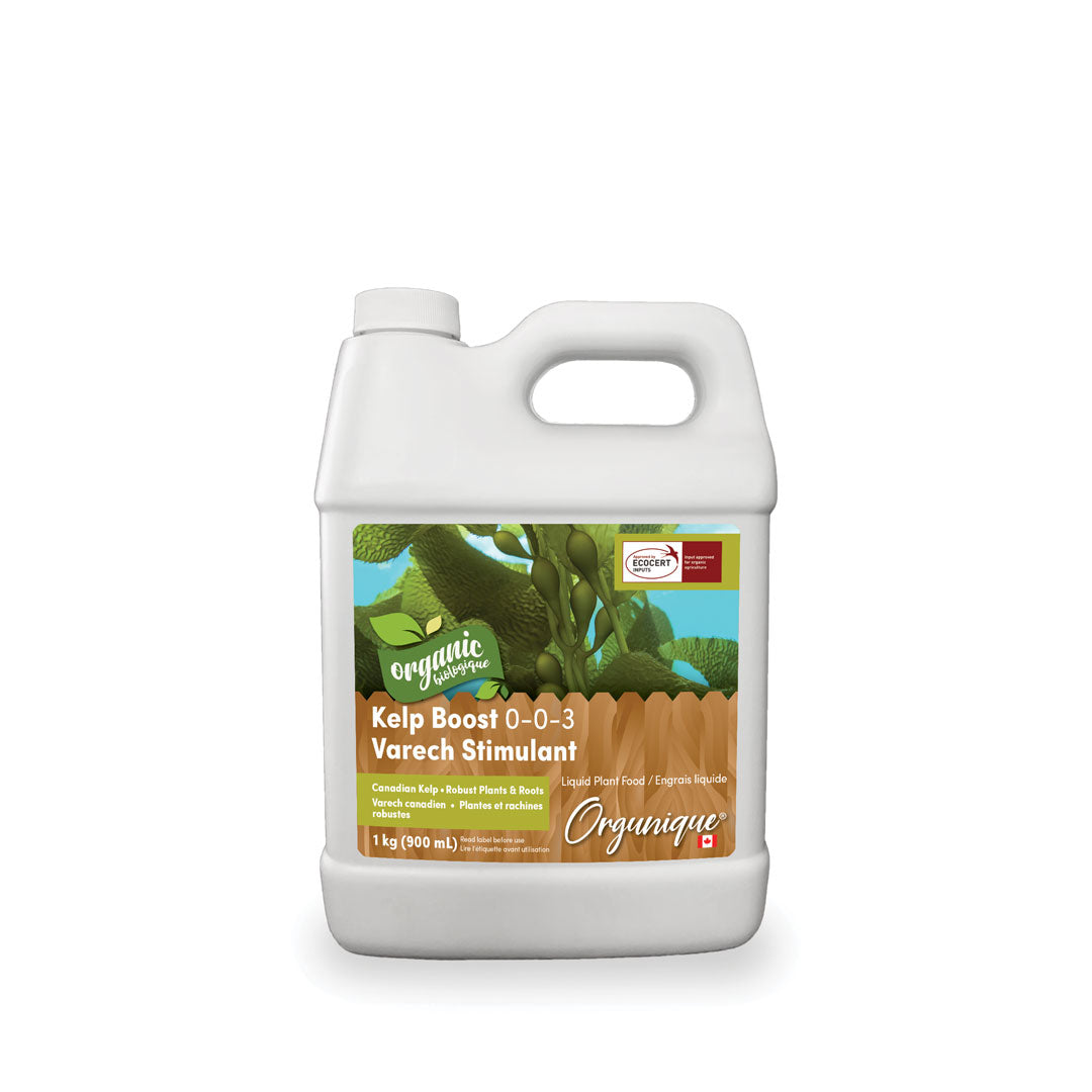 kelp fertilizer for plants Kelp Boost – TerraLink