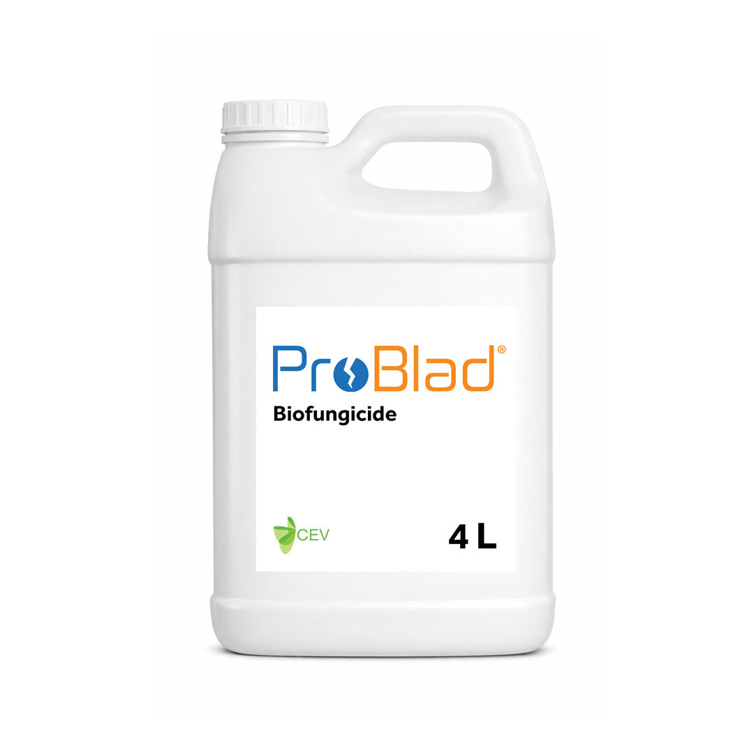 ProBlad