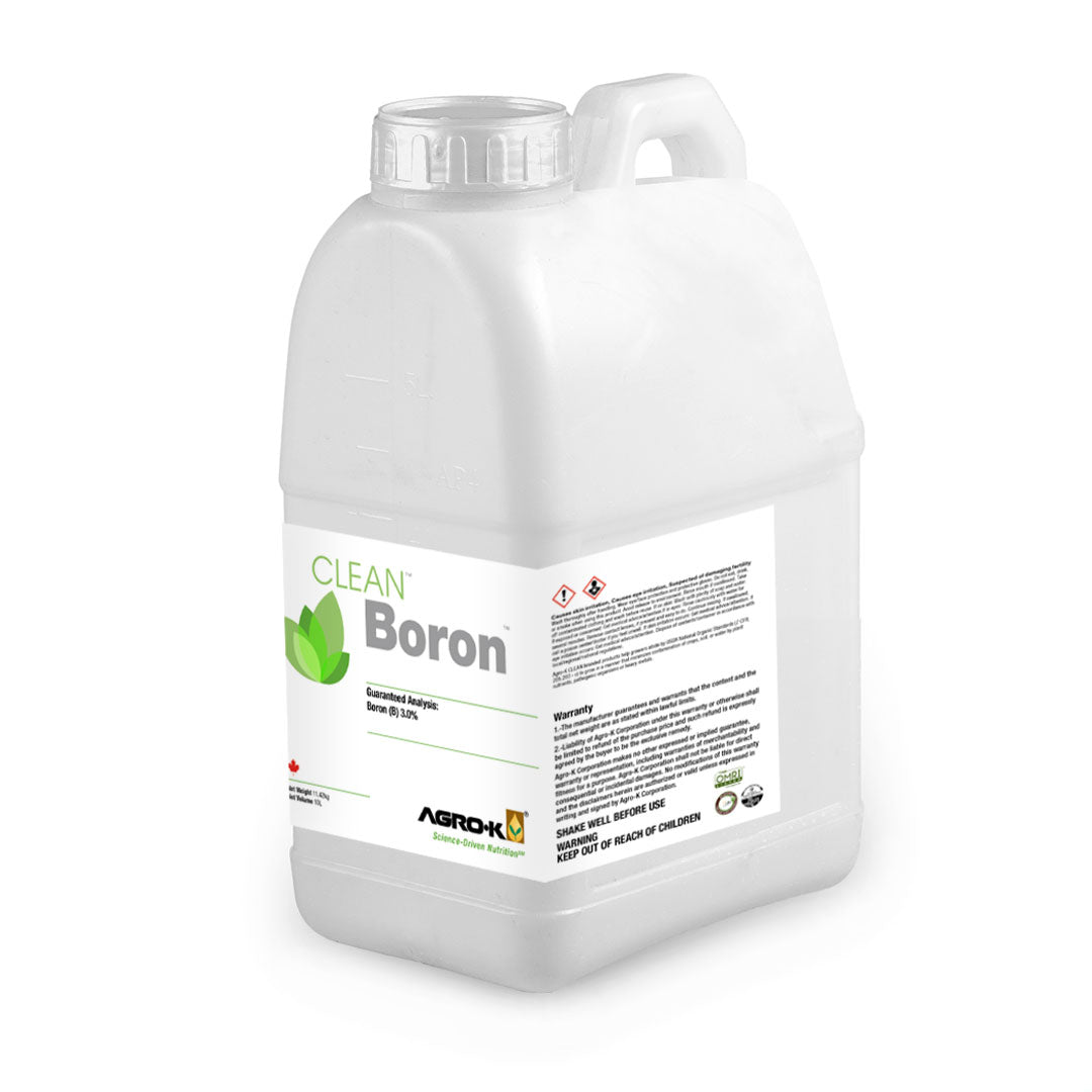 Clean Boron