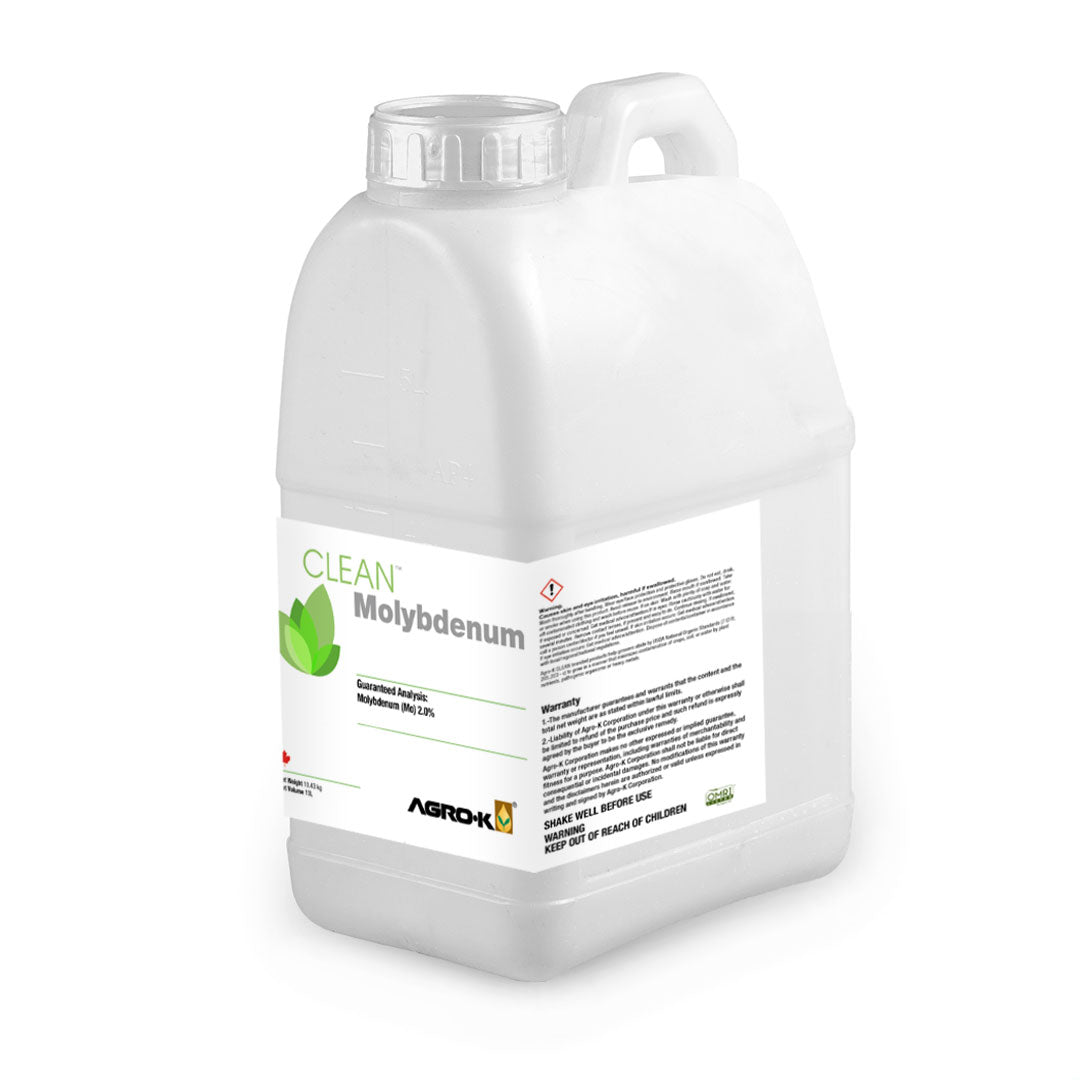 Clean Molybdenum