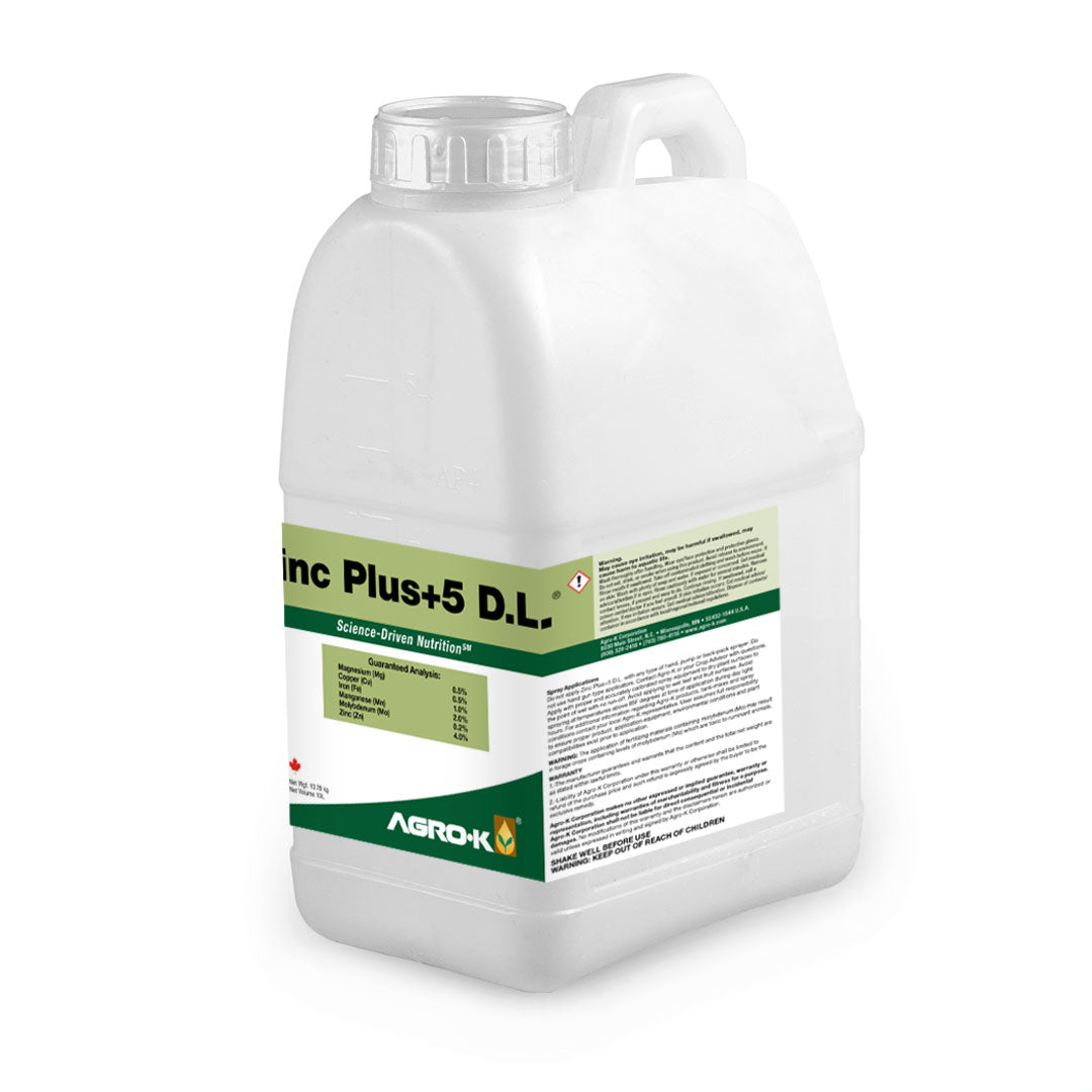 Zinc +5 DL