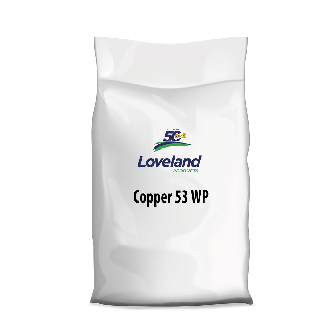 Copper 53 WP