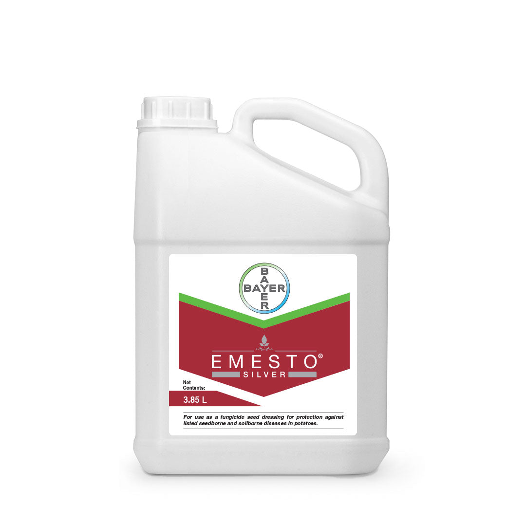 Emesto Silver