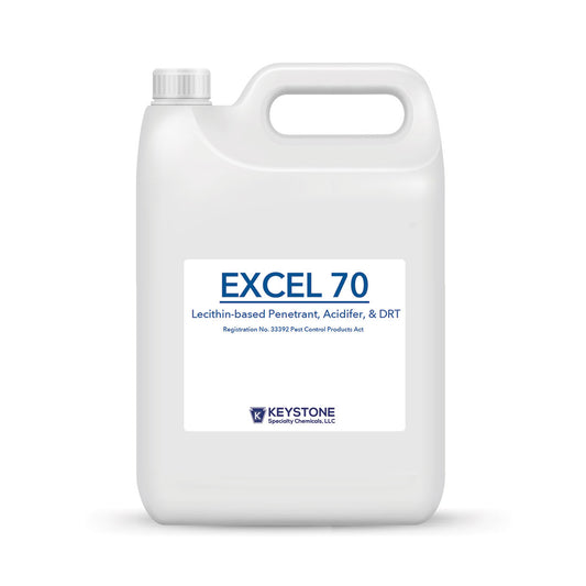 Excel 70