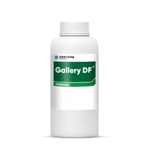 Gallery 75 DF