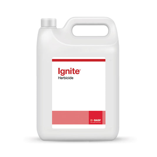 Ignite 15 SN