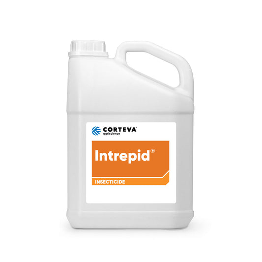 Intrepid