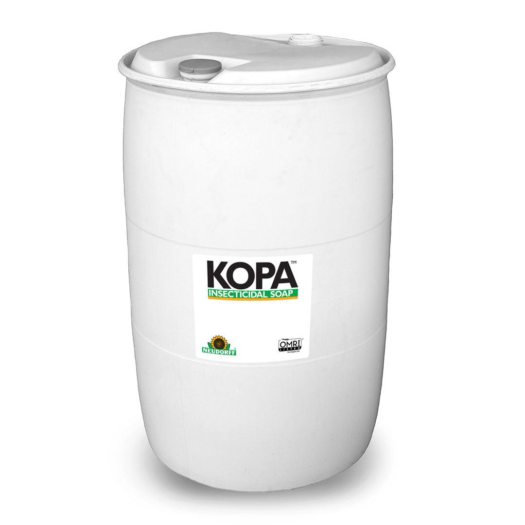 Kopa