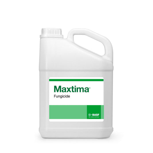 Maxtima