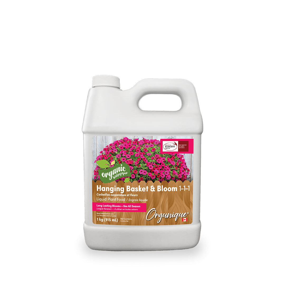 Hanging Basket & Bloom 1-1-1