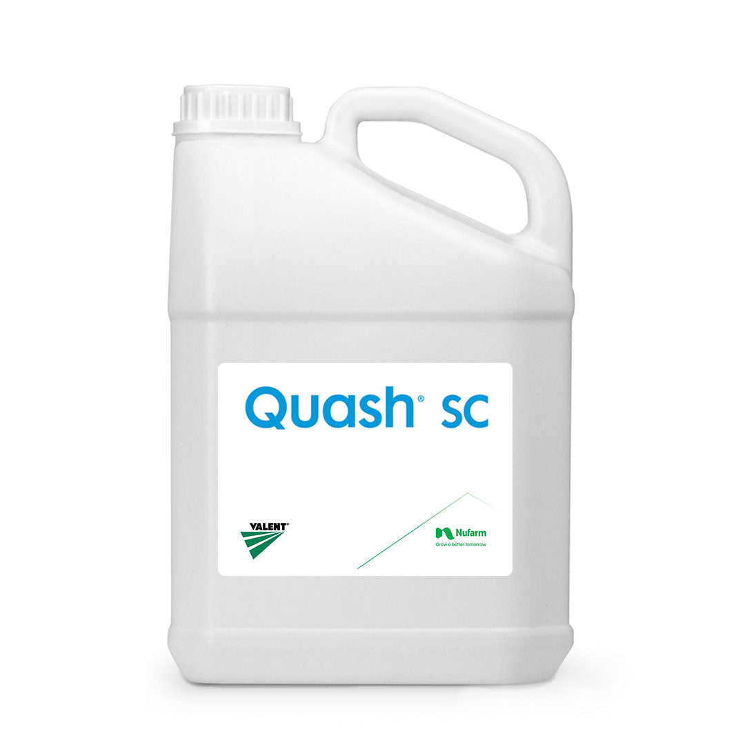 Quash SC