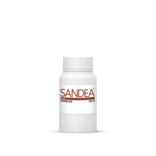 Sandea