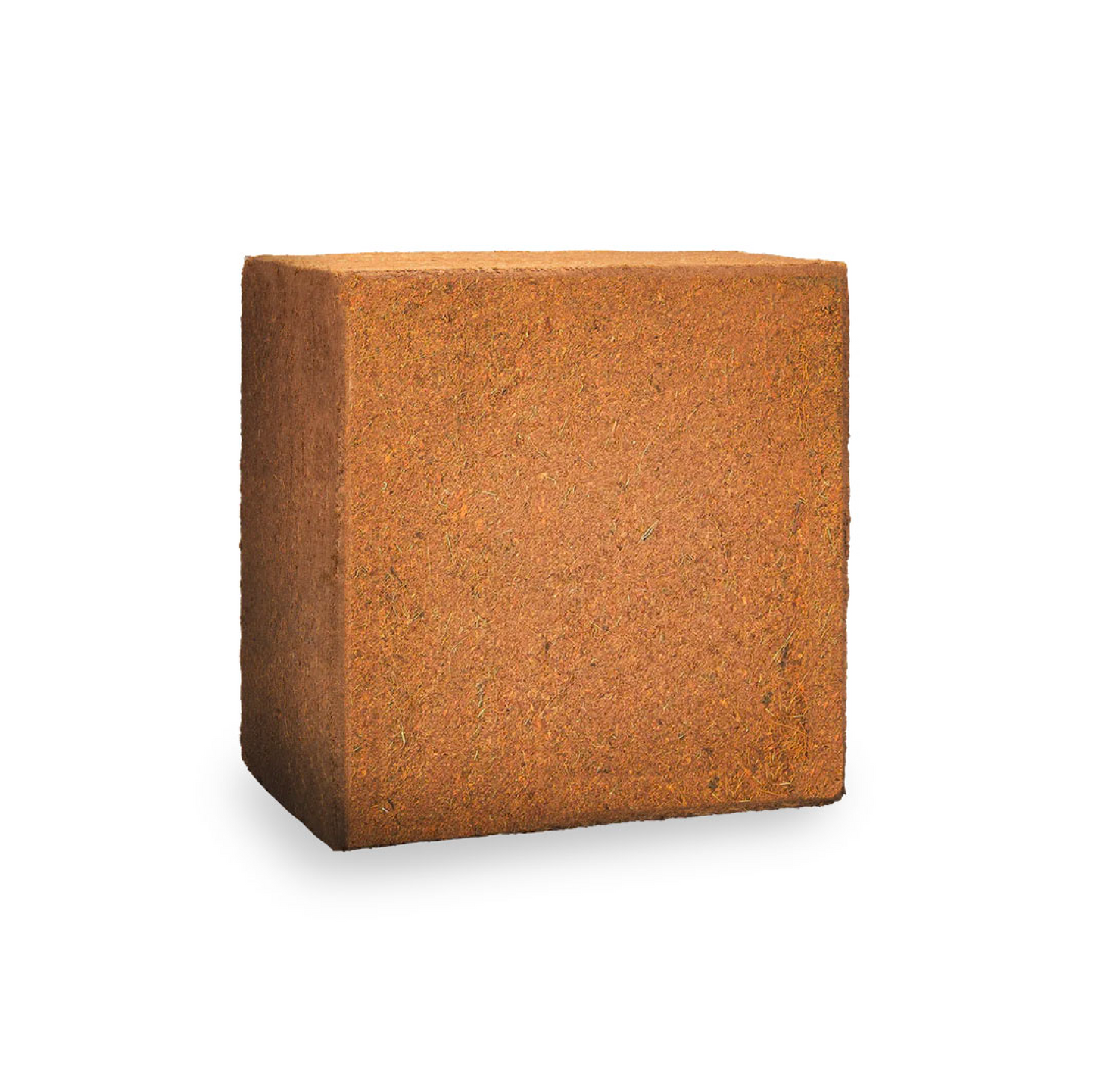 Coco Blocks, fine