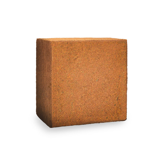 Coco Blocks, fine